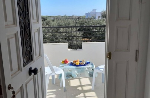 Mrezga Apartment | Hammamet - Near beaches and hills: The house of olive trees