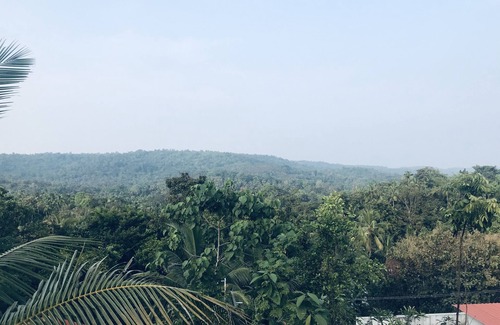 Thalassery House | HANNA HOMESTAY Our place is full of nature