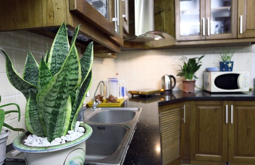 Tay Ho House | Hanoi Friendly House - Beautiful house with friendly host!