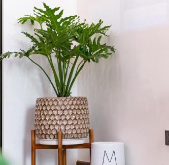Ngo Quyen Apartment | Hapi Home