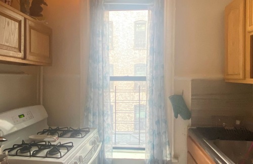 Ditmas Park Apartment | Happy artist Sasha hosting spacious prewar apartment in Flatbush broooklyn!