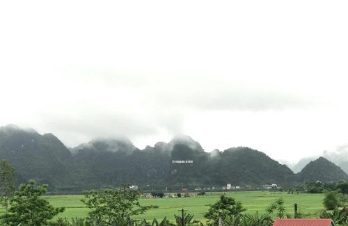 Son Trach Hotel | Happy field homestay Phong Nha