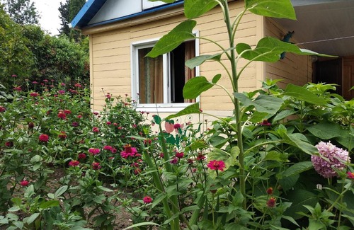 Golovinka House | Happy Time in Golovinka