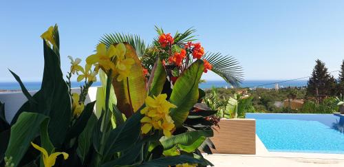 Churriana Villa | Happyplace Malaga - Villa with Panoramic Sea View Heated Infinity Saltwater Pool