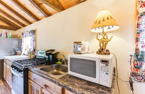 Harrington Cabin | Harrington Cabin w/Grills - Near Beaches & Hiking