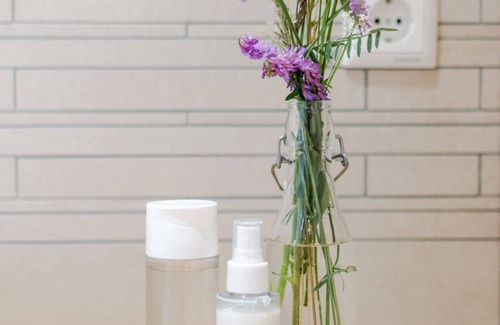 Walkenried Apartment | Harzfalke Apartment - Arrive and feel at home.