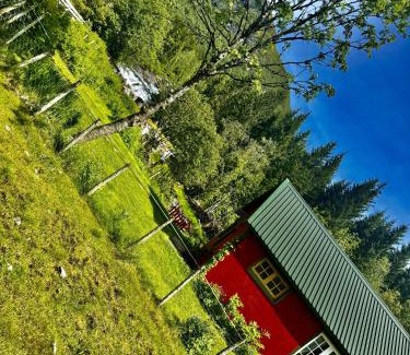 Forde House | Haukedalen mountain panorama river view