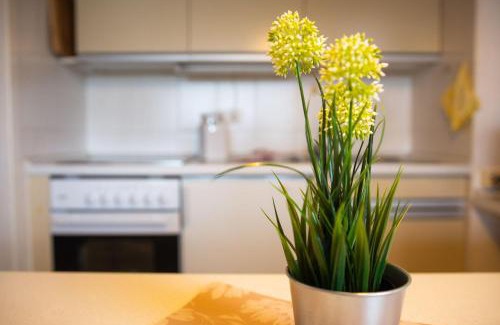 Dahme Apartment | Haus am Deich Wohnung 1