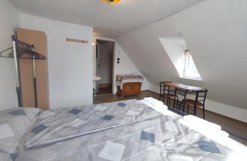 Bad Elster Apartment | Haus "Grimberg" FeWo 1-stock oder FeWo 2-stock & Zusätzliches Zimmer