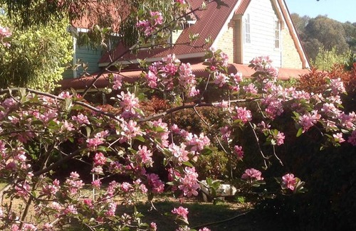 Mount Rankin Bed & Breakfast | Hawk's Nest Bed & Breakfast