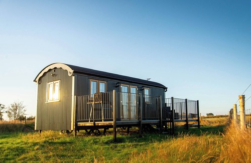 Pentrefelin Cabin | Head For The Hills Glamping Shepherd’s Hut. Pet friendly, mountain viewsnn