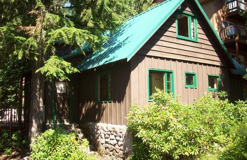 Government Camp Cabin | Heart of village! Knotty pine cabin located on a creek.