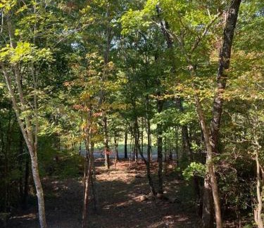 Helen House | Helen, GA Bear Paw Haus 4 bdrm, sleeps 10, fire pit, pool table, on Golf course