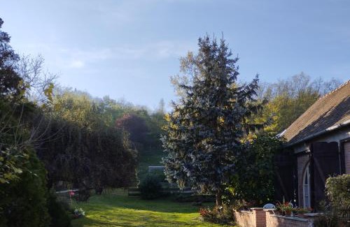 Helesfa House | Helesfa Vendégház