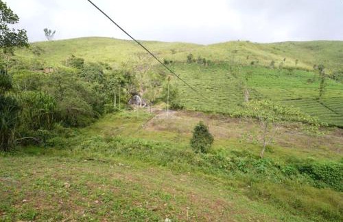Todupulai House | Helios Farms and Resorts