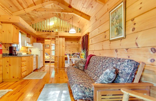Hendersonville Cabin | Hendersonville Creekside Cabin: Near DuPont Forest