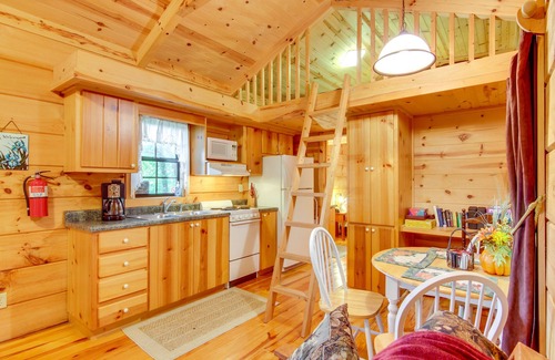 Hendersonville Cabin | Hendersonville Creekside Cabin: Near DuPont Forest