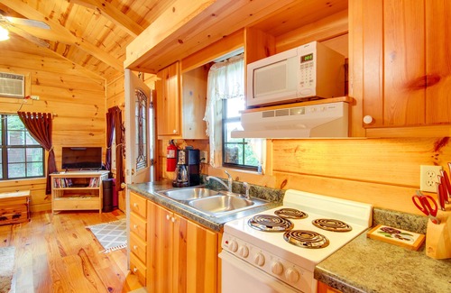 Hendersonville Cabin | Hendersonville Creekside Cabin: Near DuPont Forest