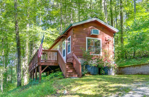 Hendersonville Cabin | Hendersonville Creekside Cabin: Near DuPont Forest
