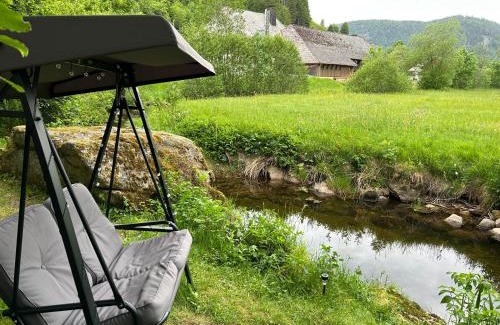 Menzenschwand-Hinterdorf Apartment | Herbstliche Auszeit in Feldbergnähe - Ferienhaus Albmatte - Natur erleben und entpannen