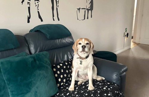 Hereford House | HEREFORD – Finch House: Modern 4-Bed, Dog Friendly, Sleeps 10 + Pool Table