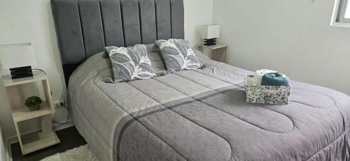 Rancagua Bed & Breakfast | HERMOSA HABITACION con Estacionamiento privado
