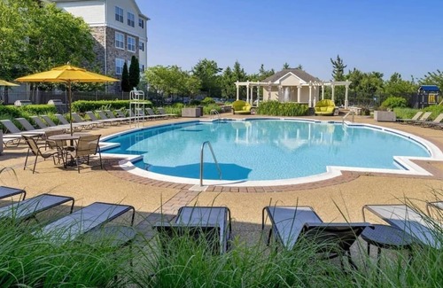Herndon Apartment | Herndon #11306 · Monochromatic Modern 2BR|2BTH Min. IAD w Amenities