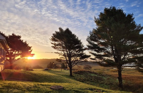 Garden Lots House | Herons, deer and ocean views! Only 2 kms from downtown Lunenburg!