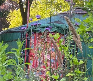 Nieuwleusen Other | Het binnenerf yurt en keetjes
