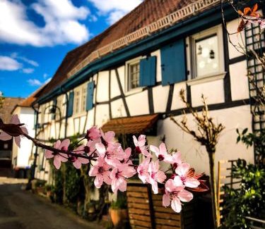 Dreieich Apartment | Hexenhäuschen Dreieichenhain