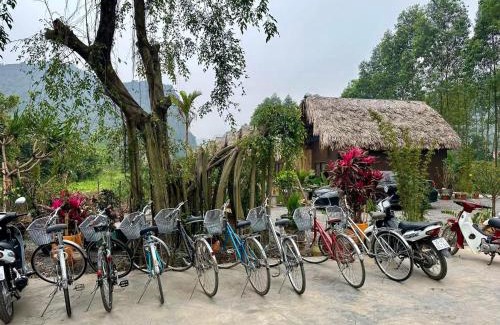 Hoa Lu Cabin | Hi Bungalow