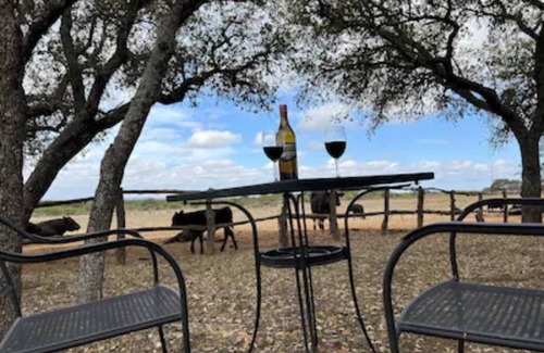 Llano Cabin | Hickory Ridge Hide Away Cabin- Romantic Getaway, Beautiful Starry Skies, Sunsets