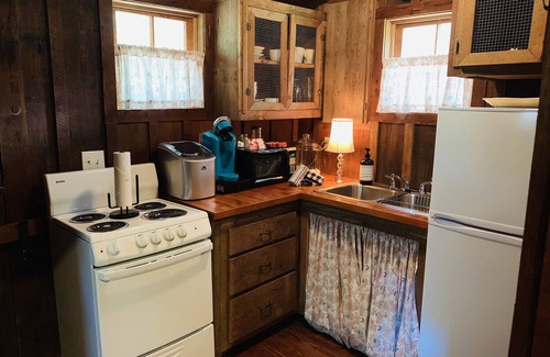Washington Cabin | Hidden Gem log cab near crater of diamonds