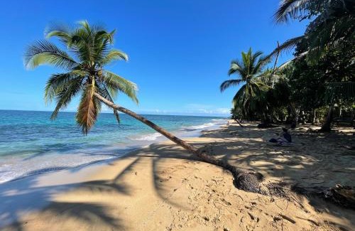 Punta Uva Apartment | Hidden jungle spot 50m from the Caribbean Sea