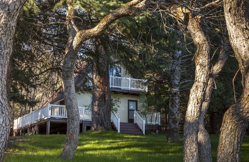 Pine Valley House | Hidden Pines Secluded Cabin on 3 Acres With Creek No Pets