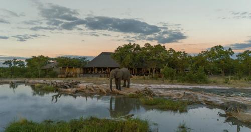 Kazuma Forest Reserve Cabin | Hideaways Camp Kuzuma, Chobe Enclave