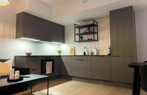 Bjørvika Apartment | High standard and ocean view