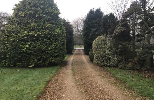 Driffield House | Highfield