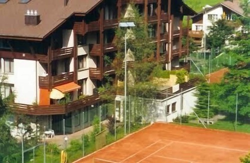 Emmetten Apartment | Hiking biking ski paragliding and recreational paradise.