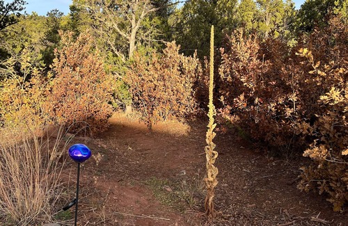 Canoncito House | Hiking, mt biking, 44 acres to explore, 20 min outside of Santa Fe