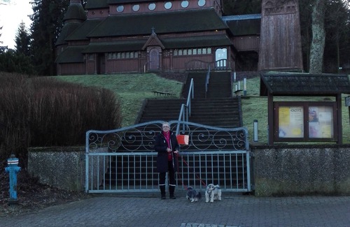 Bockswiese Apartment | Hiking or cross-country skiing in and around Hahnenklee-Bockswiese