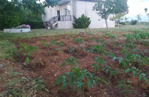 Alexandroupoli Villa | Hill View 4