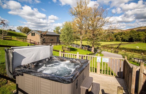 Rhayader Cottage | Hillside Lodge - Cabin sleeping 6 guests in 1 bedroom