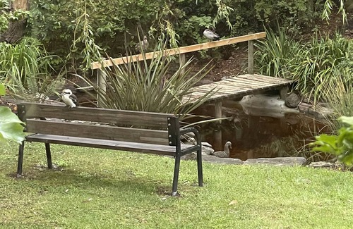 Stirling House | HILLTOP B&B Adelaide Hills