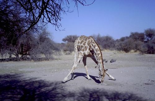 Gobabis Apartment | Hippo Farm Apartment