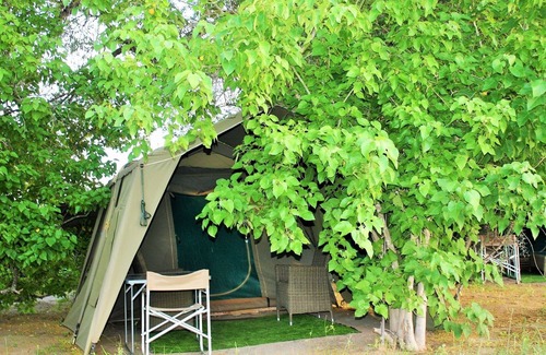 Maun Other | Hippo Island Okavango Delta