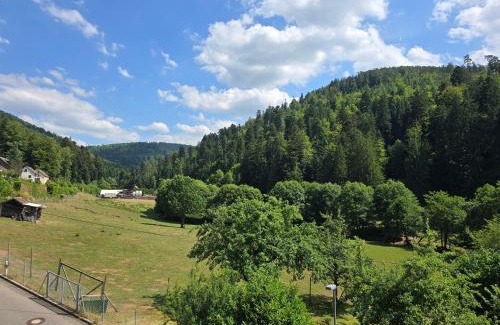 Calmbach Apartment | Hirsch Panorama