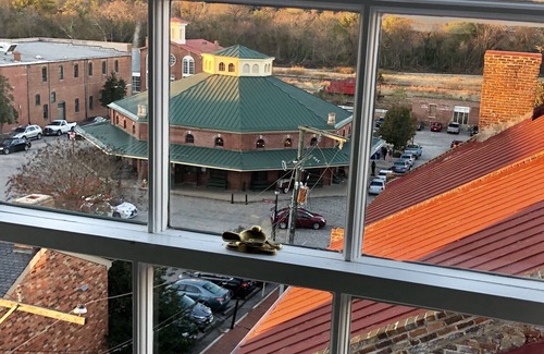 Petersburg Apartment | Historic Apartment in the Heart of Old Towne with Bird's Eye views