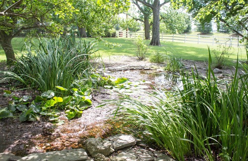Waterloo House | Historic B&B in a beautiful setting!