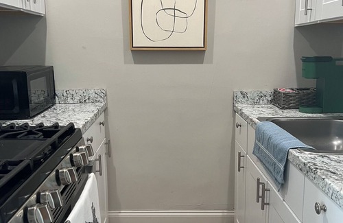 Fan District Apartment | Historic Home in the Fan, 1 Bedroom, Pet-Friendly!